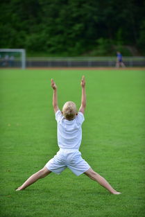 开云体育app在线-高校运动训练计划动态调整机制研究，运动训练调控