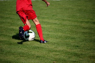 开云体育官网下载-CBA球队完善伤病防护体系保障运动员健康和职业生涯，cba球员伤情报告