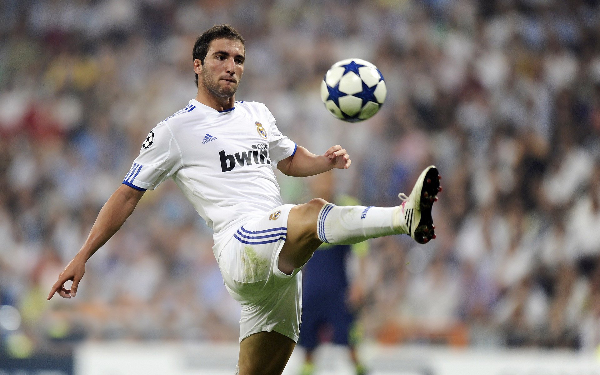 亚运会吉祥物正式发布,亚运会吉祥物正式发布于哪一年